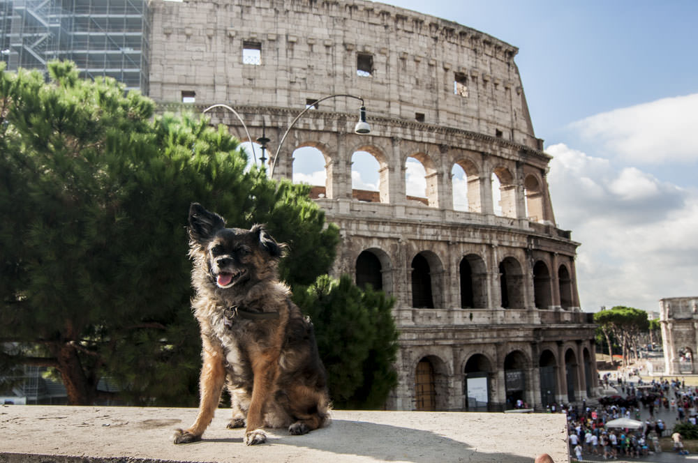 The Coliseum - Rome, Italy