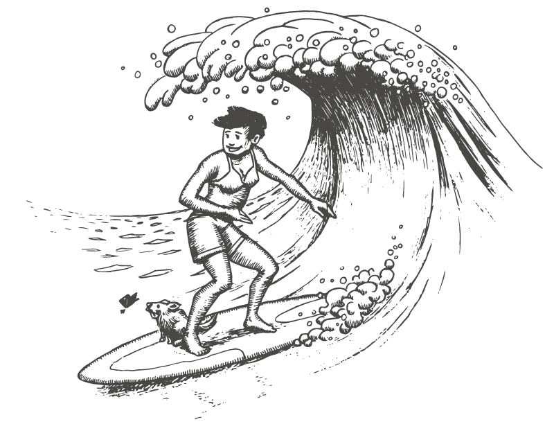 never-north-surfing-waves
